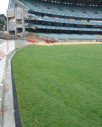 MCG